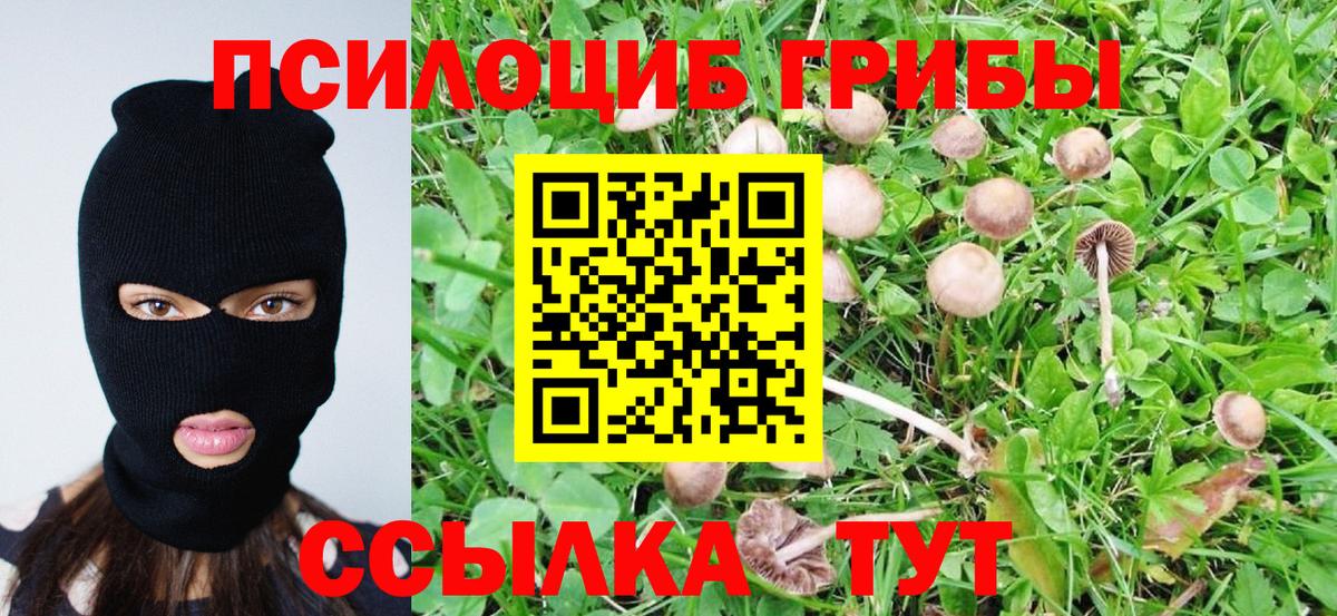 Сальск  Галлюциногенные грибы ЛСД  Псилоцибиновые грибы MAGIC MUSHROOMS  Вход с VPN 